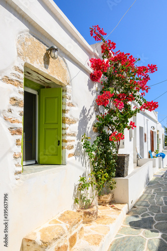 A narrow Greek street decorated with bougainvillea flowers in Chora on Folegandros Island. Cyclades