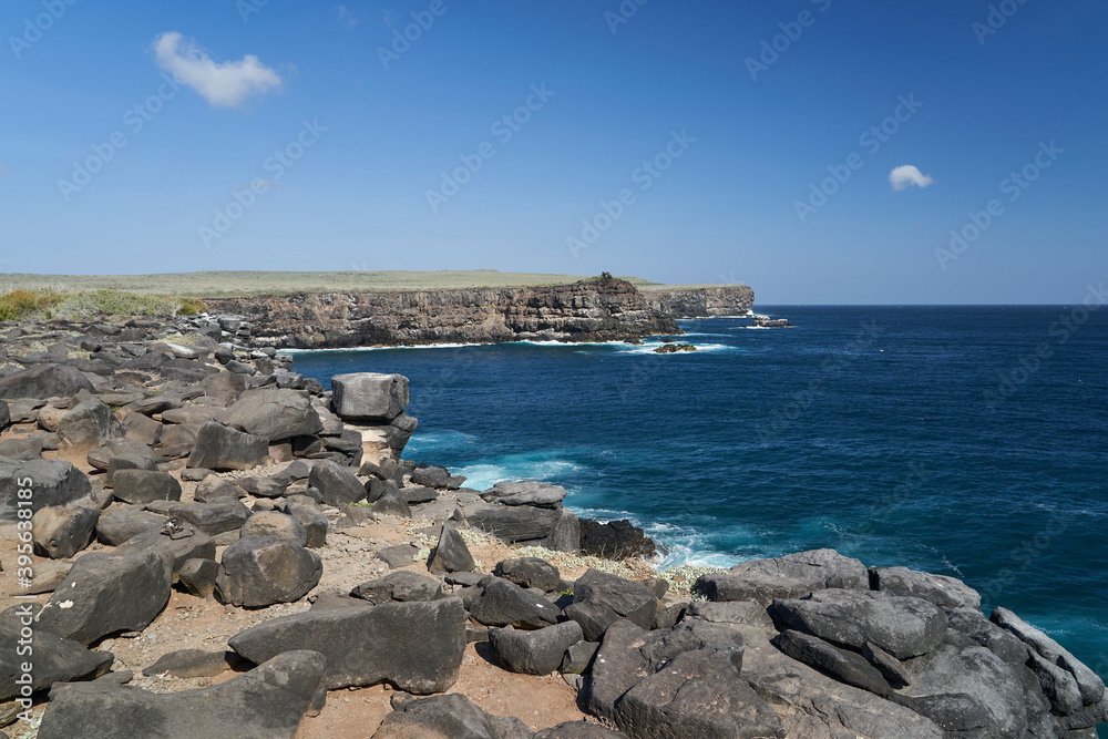 Beautiful landscape of the shoreline on the Galapagos Islands with lava rocks, steep cliffs and deep blue pacific ocean, Ecuador, South America