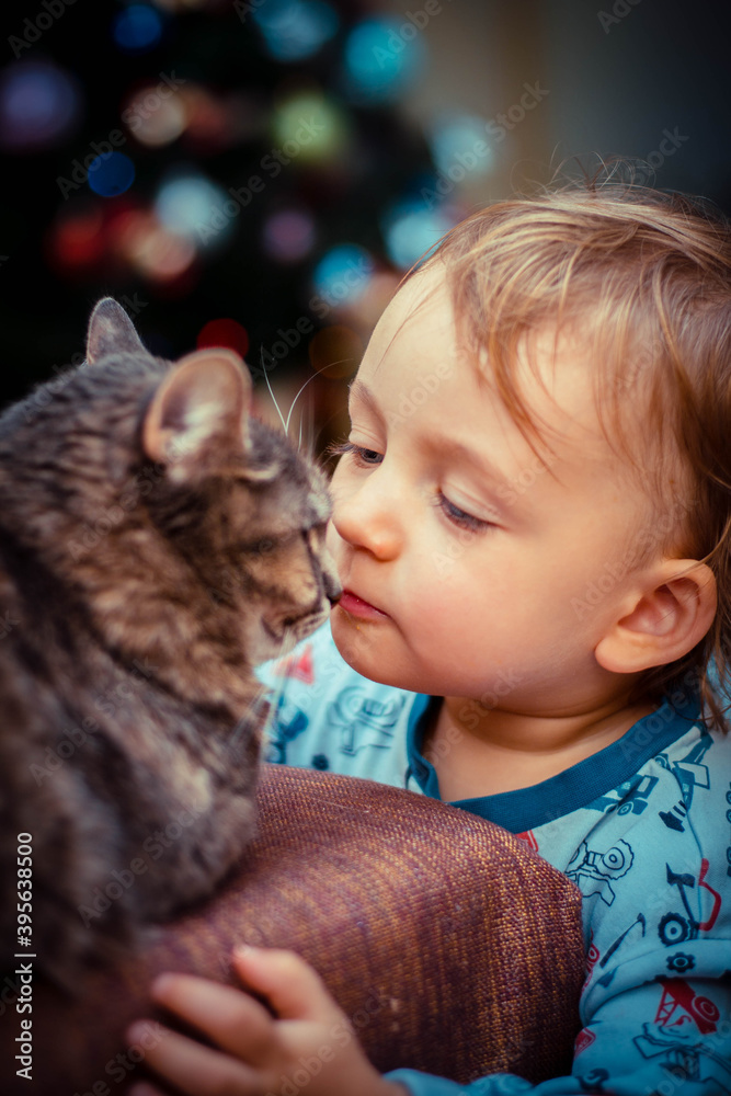 cat and baby on the background of christmas tree and lights bokeh cat and baby on the background of christmas tree and lights bokeh