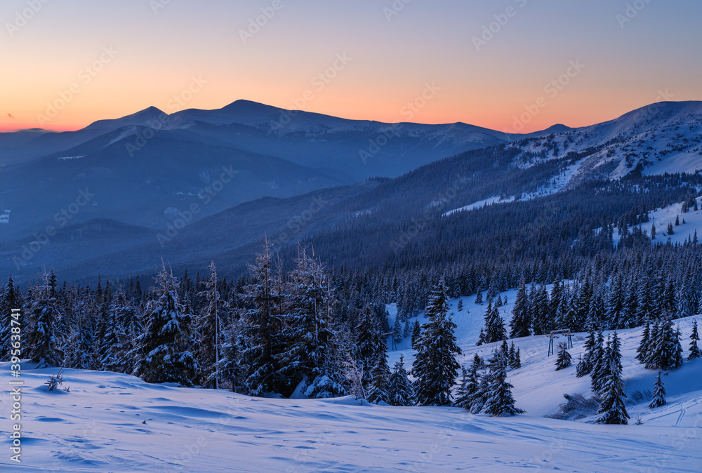 Picturesque winter alps sunrise. Highest ridge of the Ukrainian Carpathians is Chornohora with peaks of Hoverla and Petros mountains. View from Svydovets ridge and Dragobrat ski resort.