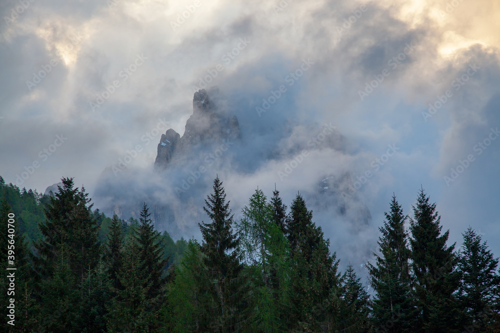 Fototapeta premium The peaks of the mountains can be seen through thick clouds; in the foreground is a coniferous forest.