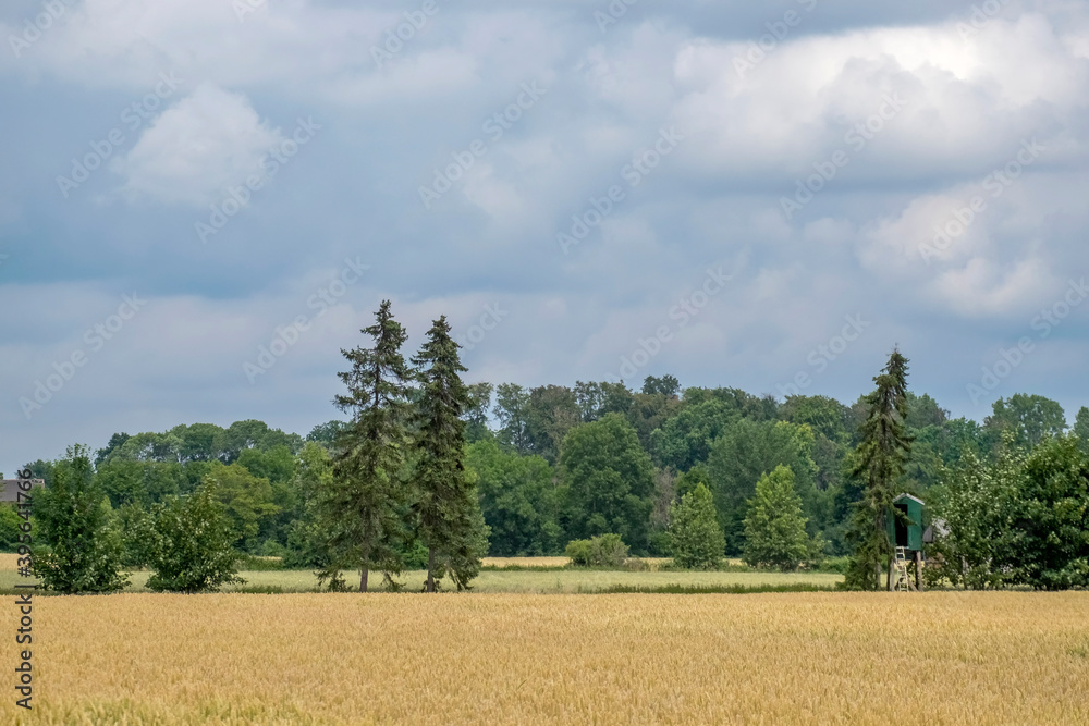 Landschaft mit Hochsitz, Münsterland