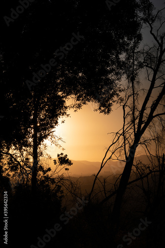 A mountains view in the sunset, with trees silhouettes