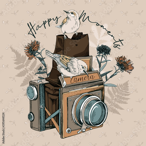 Vintage Camera and birds with Herbarium wildflowers, cornflowers, herbs flowers and leaves flowers and leaves. T-shirt composition, hand drawn vector illustration.