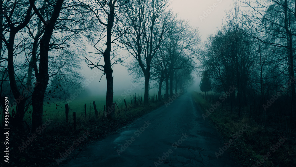 Mysterious foggy landscape with broad leaf trees along asphalt road at autumn/fall. Fog, mist,little silhouette of a man. Eastern Europe, Moravia. . Mysterious foggy landscape with broad leaf trees along asphalt road at autumn/fall. Fog, mist,little silhouette of a man. Eastern Europe, Moravia. .