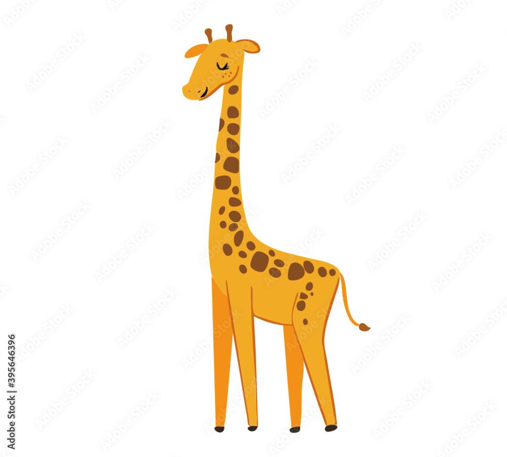 Fototapeta premium Cute Animal