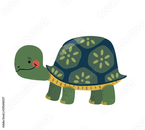 Cute Animal