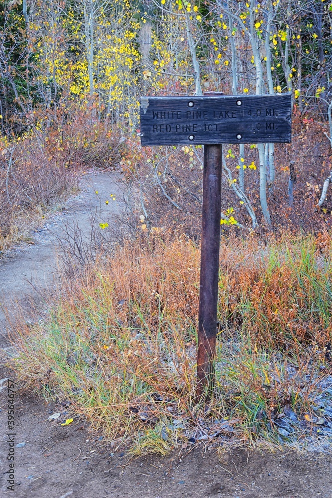 Trail Sign on Red Pine and White Pine Lake hiking trail in Lone Peak Wilderness on White Baldy and Pfeifferhorn in Little Cottonwood Canyon, Wasatch Rocky mountain Range, Utah, United States. Trail Sign on Red Pine and White Pine Lake hiking trail in Lone Peak Wilderness on White Baldy and Pfeifferhorn in Little Cottonwood Canyon, Wasatch Rocky mountain Range, Utah, United States.