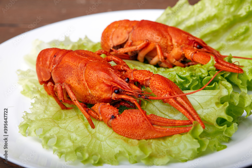 Close-up of boiled crayfish on a lettuce leaf Close-up of boiled crayfish on a lettuce leaf