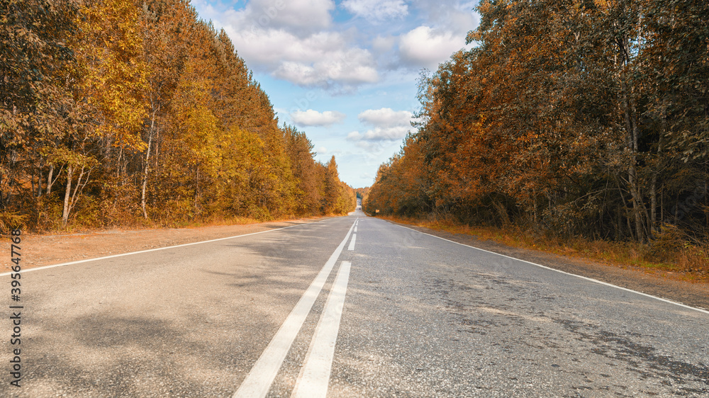 Endless country road to the horizon low angle panoramic