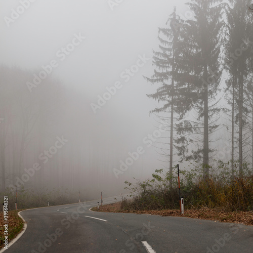 Mystical road on a foggy day with curve