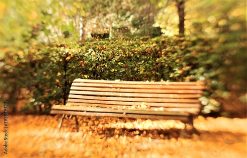 bench in autumn park with red leaves everywhere, dreamy, sunset, vintage