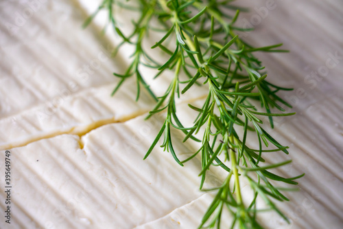 Huge cheese and fresh herbs