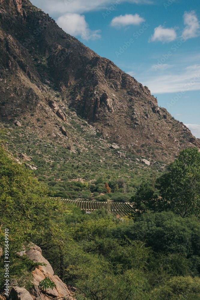 Fototapeta premium Salta Argentina