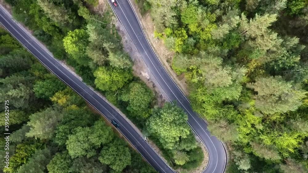 Top down view of rounded asphalt road with little traffic. Landscape of an environment full of evergreen trees, with different shades of green. Top down view of rounded asphalt road with little traffic. Landscape of an environment full of evergreen trees, with different shades of green.