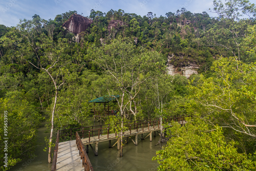 Boardwalk in Bako National Park, Sarawak, Malaysia Boardwalk in Bako National Park, Sarawak, Malaysia
