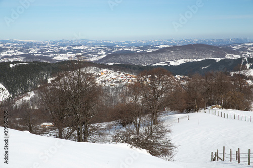 Zlatibor mountain covered with snow and filled with bare trees. Zlatibor pastures covered with snow.