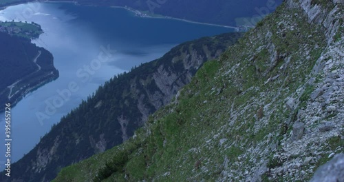 Establishing shot, Group of Capricorn ascending rocky pasture on the side of grass covered mountain, achensee lake in the background. photo