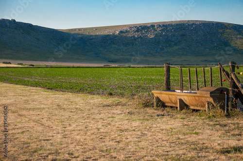 caw waterer in the field