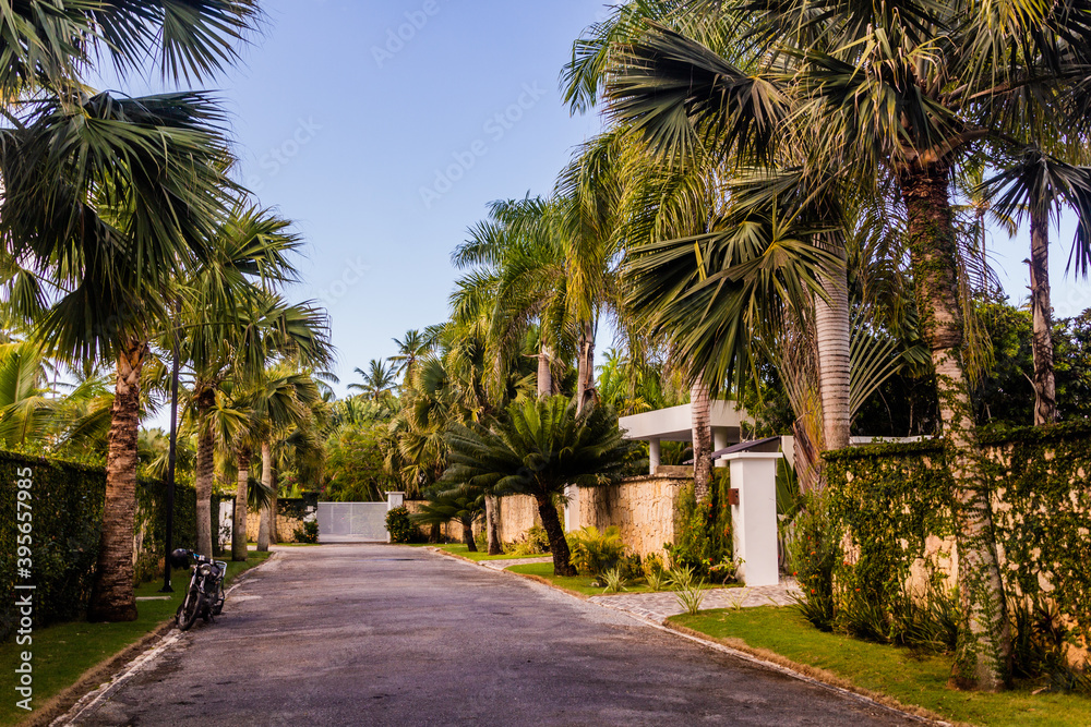 Street near Las Terrenas, Dominican Republic