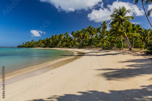 Beach in Las Terrenas, Dominican Republic © Matyas Rehak