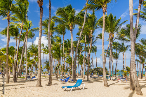 Palms at Bavaro beach, Dominican Republic © Matyas Rehak