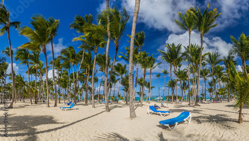  Palms at Bavaro beach, Dominican Republic © Matyas Rehak