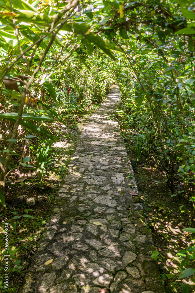 Path in Botanical gardens at the Pico Isabel de Torres mountain above Puerto Plata, Dominican Republic Path in Botanical gardens at the Pico Isabel de Torres mountain above Puerto Plata, Dominican Republic