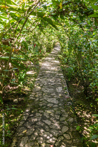 Path in Botanical gardens at the Pico Isabel de Torres mountain above Puerto Plata, Dominican Republic