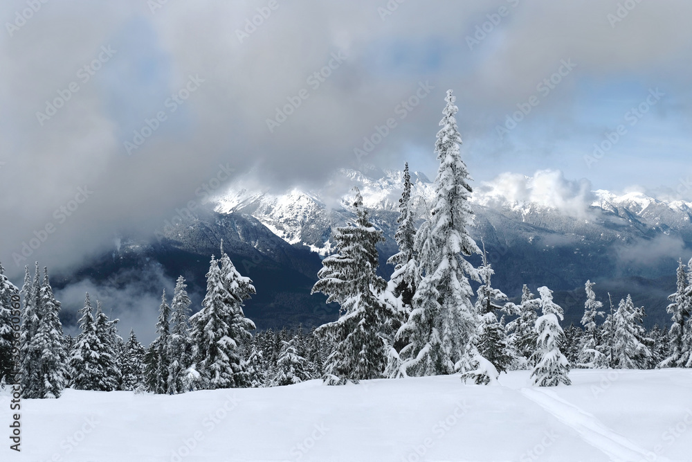 Snow covered forest in mountains and view of snowcapped peaks. Whistler. British Columbia. Canada 