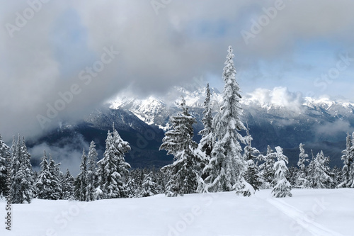 Snow covered forest in mountains and view of snowcapped peaks. Whistler. British Columbia. Canada  © aquamarine4