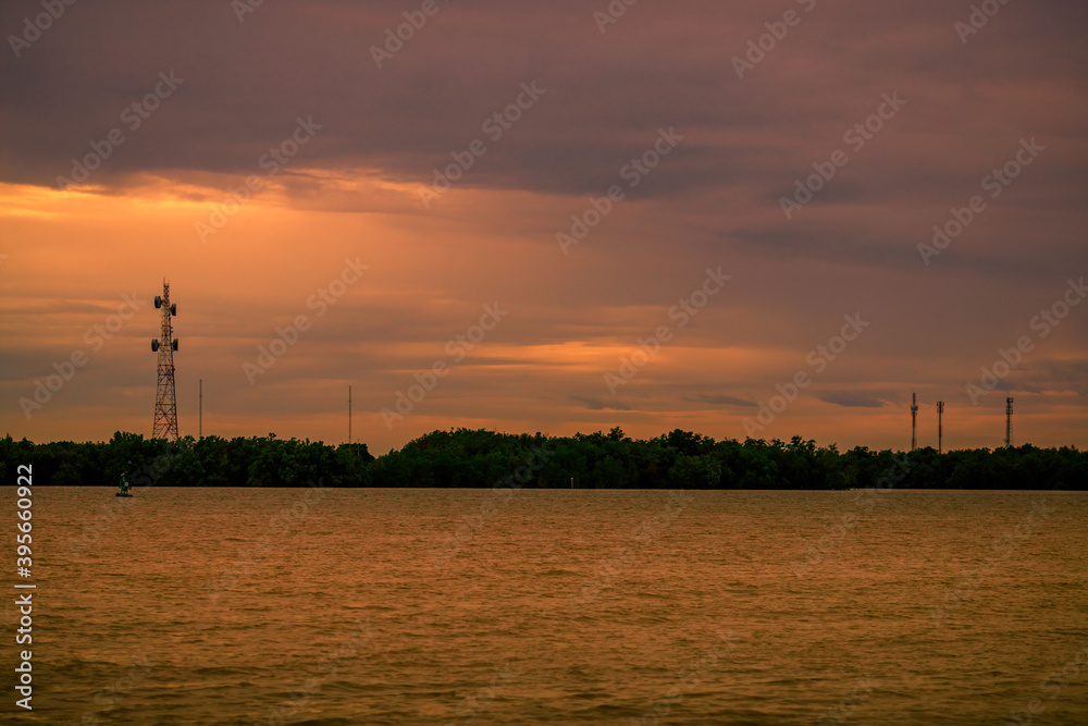 The abstract blurry background of the twilight light of the mangrove forest, with trees and cool natural breezes flowing.