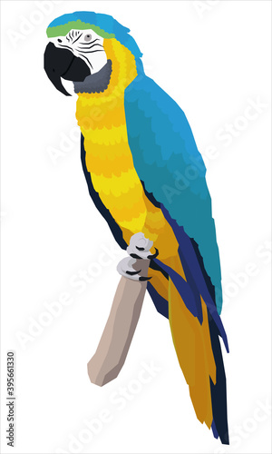 simple vector eps illustration icon of a blue and yellow macaw ara parrot sitting on a stick with simple shadows and feathers on white background isolated