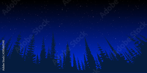 The starry sky against the background of a dense forest. Vector landscape.