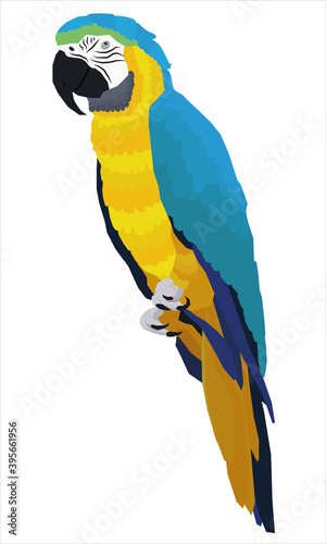 simple vector eps illustration icon of a blue and yellow macaw ara parrot with simple shadows and feathers on white background isolated