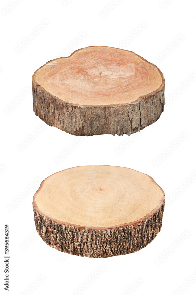 Cross section of tree trunk or tree stump , isolated on white background with clipping path Cross section of tree trunk or tree stump , isolated on white background with clipping path