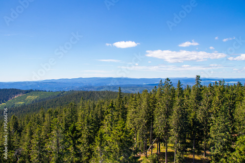 Woods of the Bohemian Forest