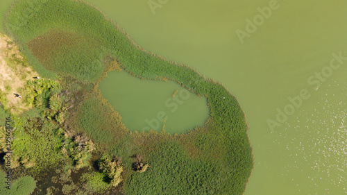 Wallpaper Mural swamp in the forest view from drone. wetland landscape. View of an impassable swamp from height. Aerial photography Wild forest landscape. Torontodigital.ca