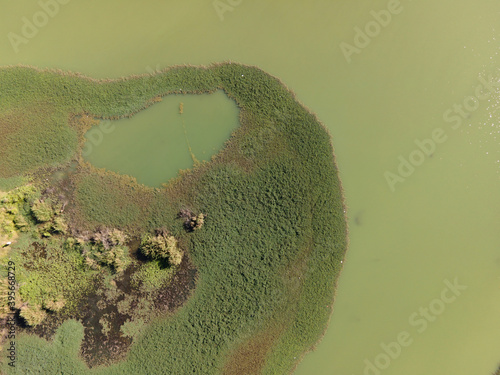 Wallpaper Mural swamp in the forest view from drone. wetland landscape. View of an impassable swamp from height. Aerial photography Wild forest landscape. Torontodigital.ca