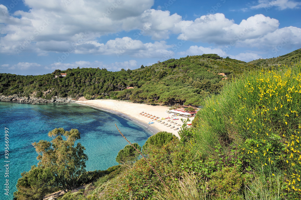 Wunschmotiv: der Strand von Fetovaia auf der Insel Elba,Toskana,Mittelmeer,Italien #395669997