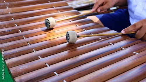 Принти на полотні Male hand holding a xylophone stick