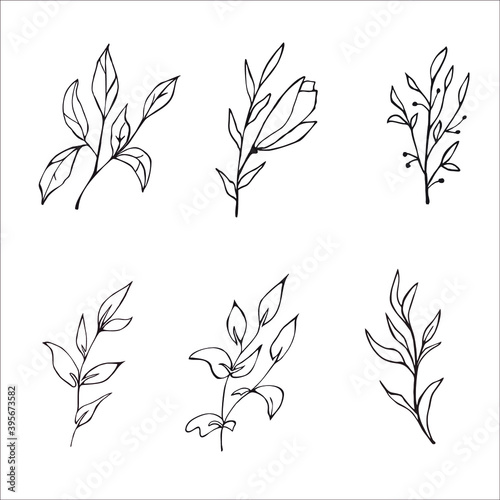 flowers by lines-flower clipart-botany plants - for design design-for logo
