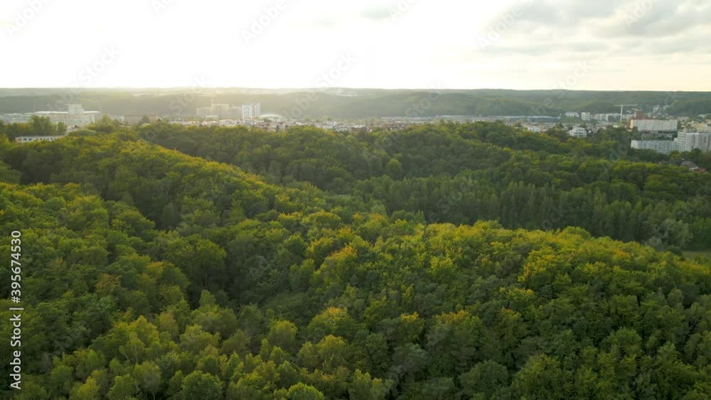 Beautiful Polish Gdynia Landscape during fantastic sunset over tree tops drone aerial Beautiful Polish Gdynia Landscape during fantastic sunset over tree tops drone aerial