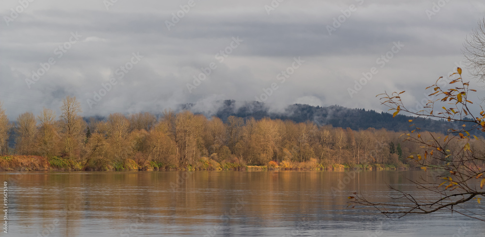 autumn rural natural landscape with calm river water reflecting yellow trees in cloudy day. Travel photo, nobody. autumn rural natural landscape with calm river water reflecting yellow trees in cloudy day. Travel photo, nobody.