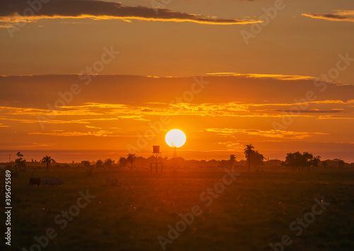 amanecer en la llanura