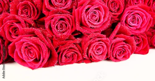 flowers red roses close-up video 4k