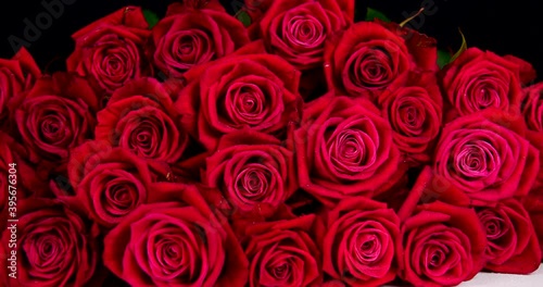 flowers red roses close-up video 4k