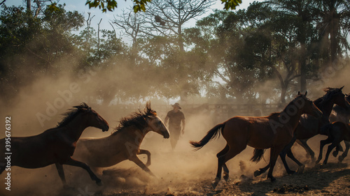 hombre llanero en medio del polvo ocasionado por caballos.