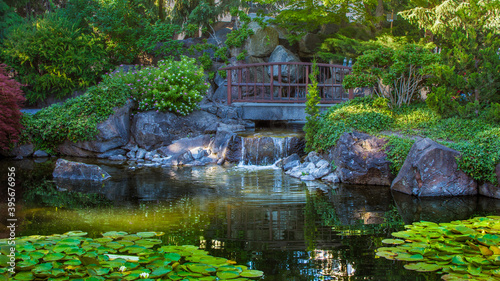 Japanese garden with bridge above a waterfall and pond that is home to Koi
