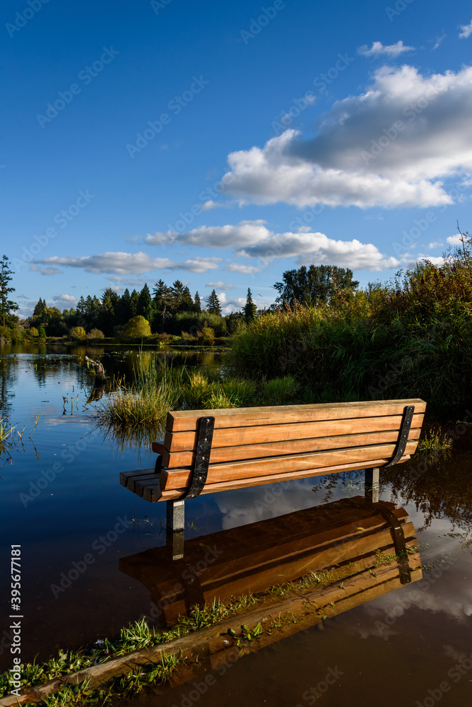 Wooden bench on the flooded shore of Larson Lake, reflections of blue sky and clouds

